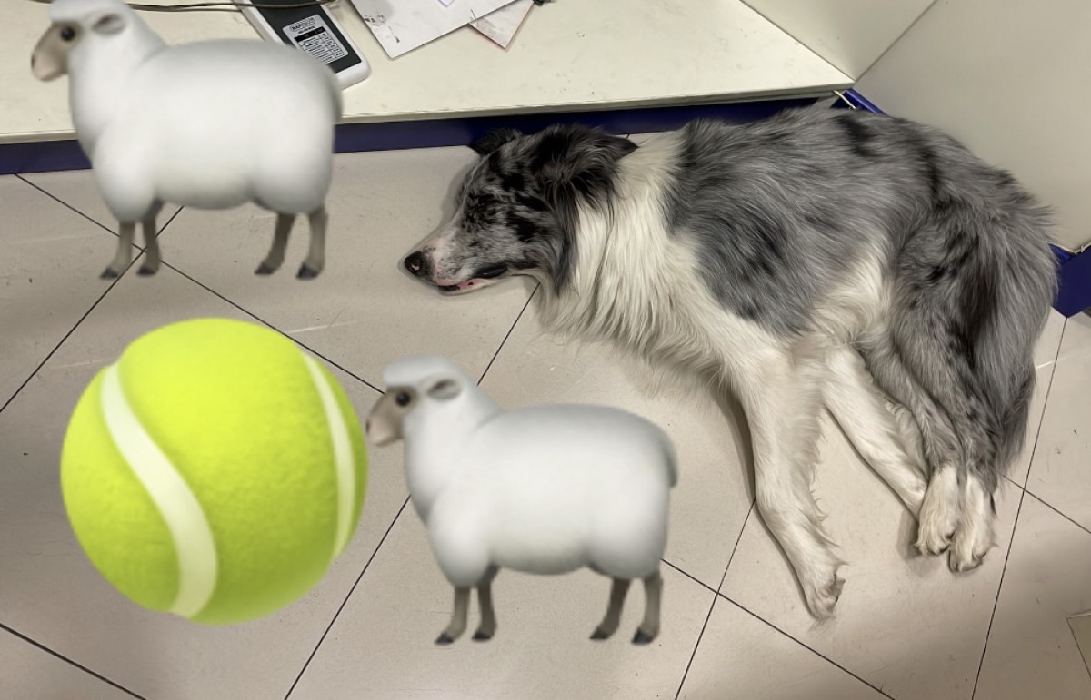    Imagen 2 para promocionar la tienda ELDUENDE170