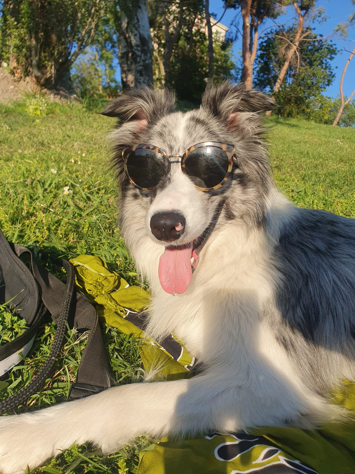    Imagen 3 para promocionar la tienda ELDUENDE170