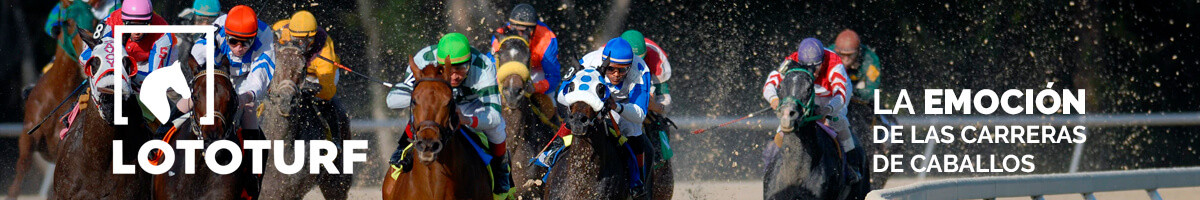    Imagen 2 para promocionar la tienda Loteria El Pilar