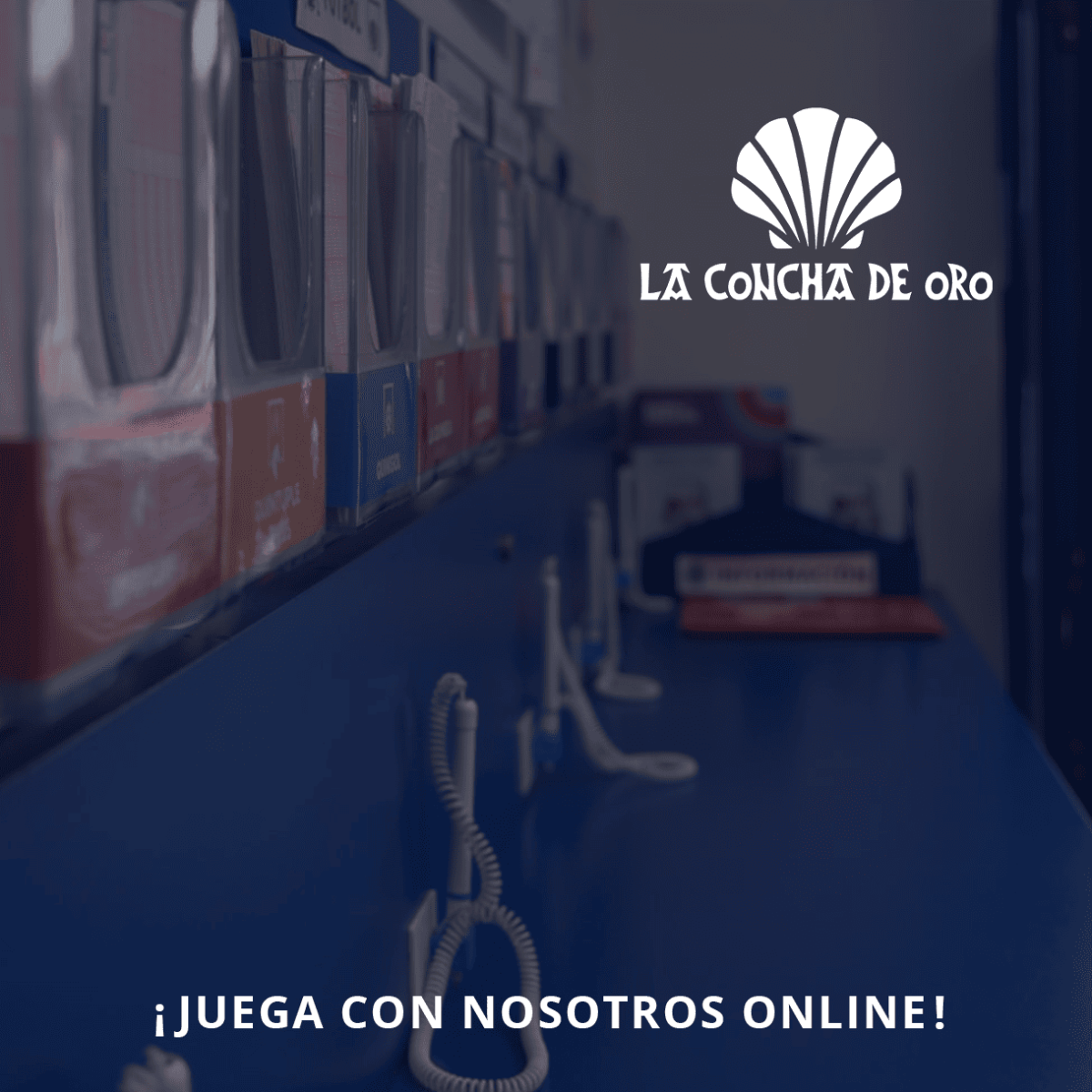 Ir a https://laconchadeoro.es/punto-amigo,  Imagen 1 para promocinar la tienda La Concha de Oro Donosti
